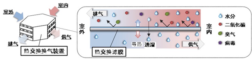 热交换滤膜的导热、透湿、气体屏蔽示意。
